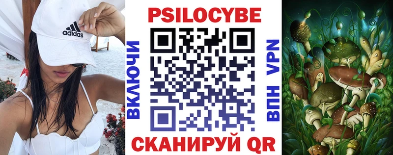 Псилоцибиновые грибы Cubensis  Каневская 